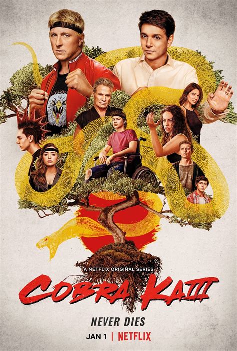 cobra kai staffel 6 besetzung|Cobra Kai Season 6 Cast & Character Guide